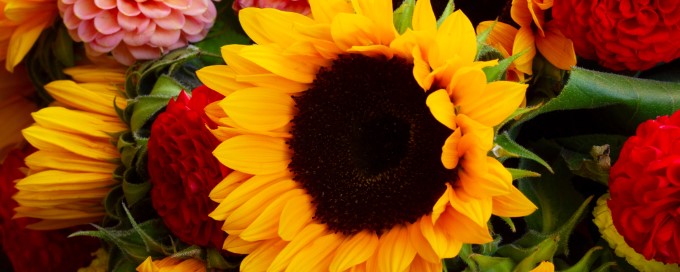 Blumen 01