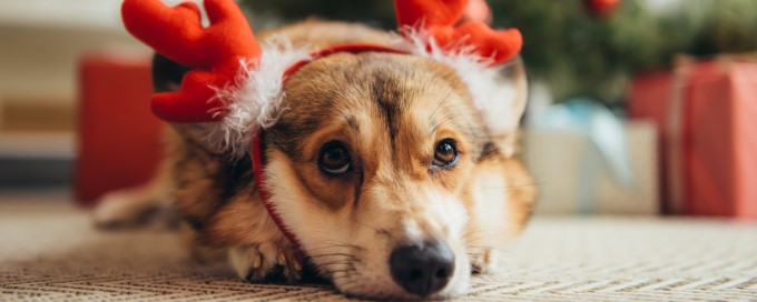 Weihnachten 03